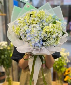 Bó Hoa Sinh Nhật Cẩm Tú Cầu Moomi