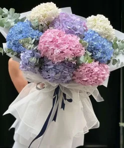 Bó Hoa Sinh nhật Cẩm Tú Cầu Khổng Lồ  - SSBHSN14