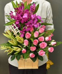 Hồng Lan Tím - SSGHSN37