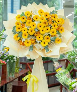 Hoa chúc mừng - Con đường rực rỡ - SSKHKT53