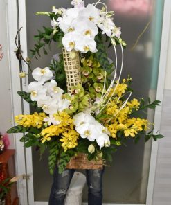 Lẵng hoa 2 tầng chúc mừng khai trương - SSLHKT15