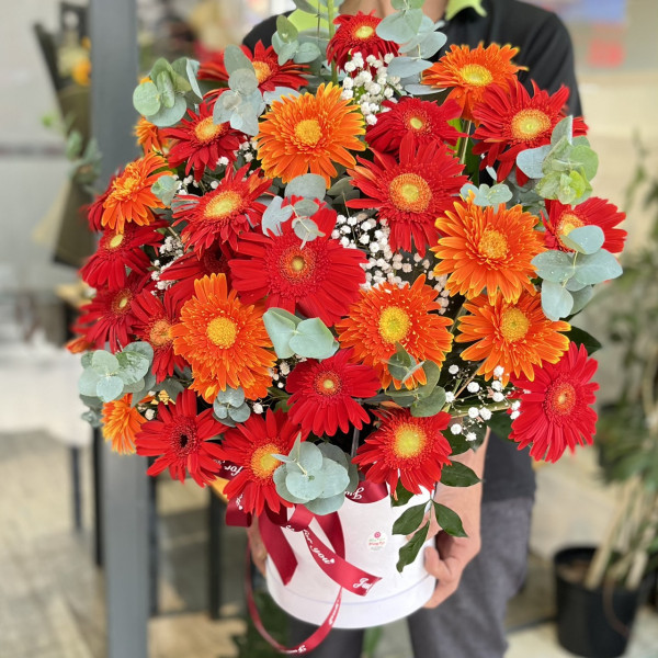 Lẵng hoa mừng khai trương cửa hàng tone đỏ hiện đại - SSLHKT16