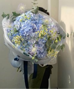 Bó hoa cẩm tú cầu to - SSBH844